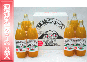 �P���b�g���U�{����