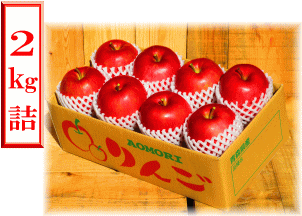 �����ӂ��Q�L���l