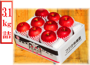 �����ӂ�3.1�L���l