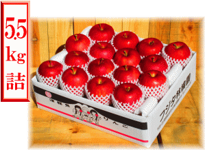 �����ӂ�5�L���l