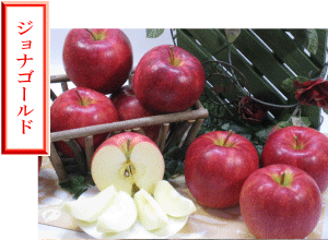 �W���i�S�[���h