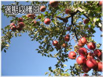 �K�����n