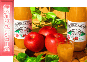 ��񂲃W���[�X�P���b�g��