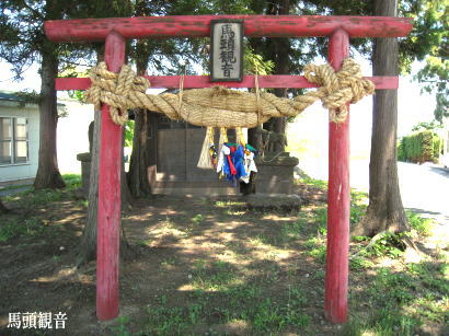 �n���ω��E�{����