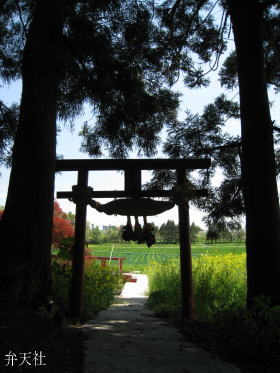 �ٓV�l�E�{����