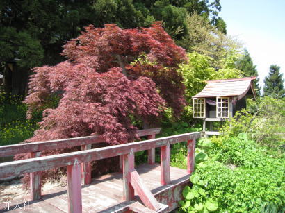 �ٓV�l�E�{�a