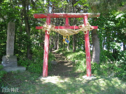 ���R�_�ЁE�{����