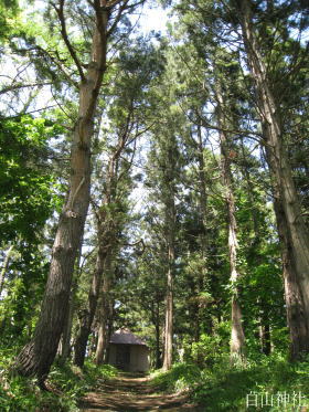 ���R�_�ЁE�ʂ�