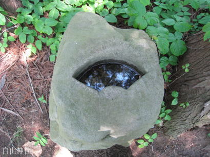 ���R�_�ЁE�ʂ�