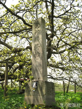 ���|���Δ�