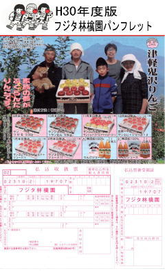 H30�p���t���b�g