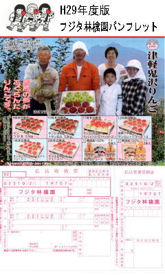 H29�p���t���b�g