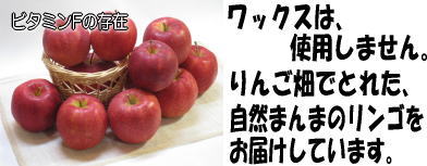 �r�^�~��F�̑���