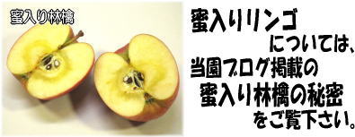 �����胊���S