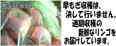 �N�x�ێ���