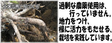 ��_��E�L�@�͔|�ɂ���