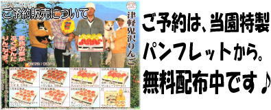 ���\��̔��ɂ���