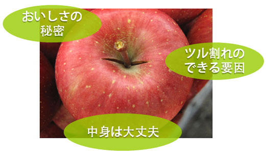 �c��������