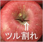 �c������ь�