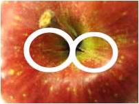 �O���Ɠ������