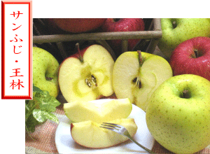 �T���t�W�Ɖ���