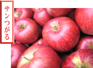 �T������