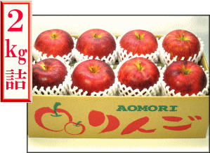 �T������2�L���l