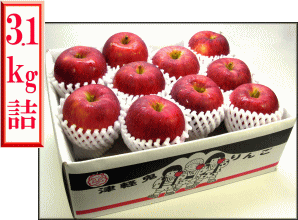 �T������3.1�L���l