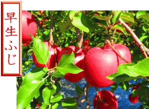 �����ӂ�